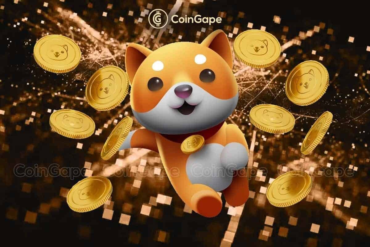 Babydoge Coin E1681555484131.jpg