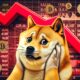 Dogecoin Doge Trouble.jpeg