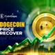 Dogecoin Price Recover.webp.webp