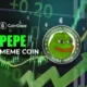 Pepe Meme Coin.webp.webp