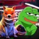 Shiba Inu Burn Rate Spikes 13000 Amid Pepe Coin Frenzy.jpg