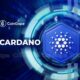 Whats Happening With Cardano 1.jpg