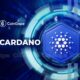 Whats Happening With Cardano.jpg