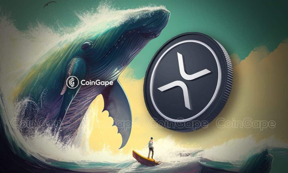 Xrp Whales.jpg