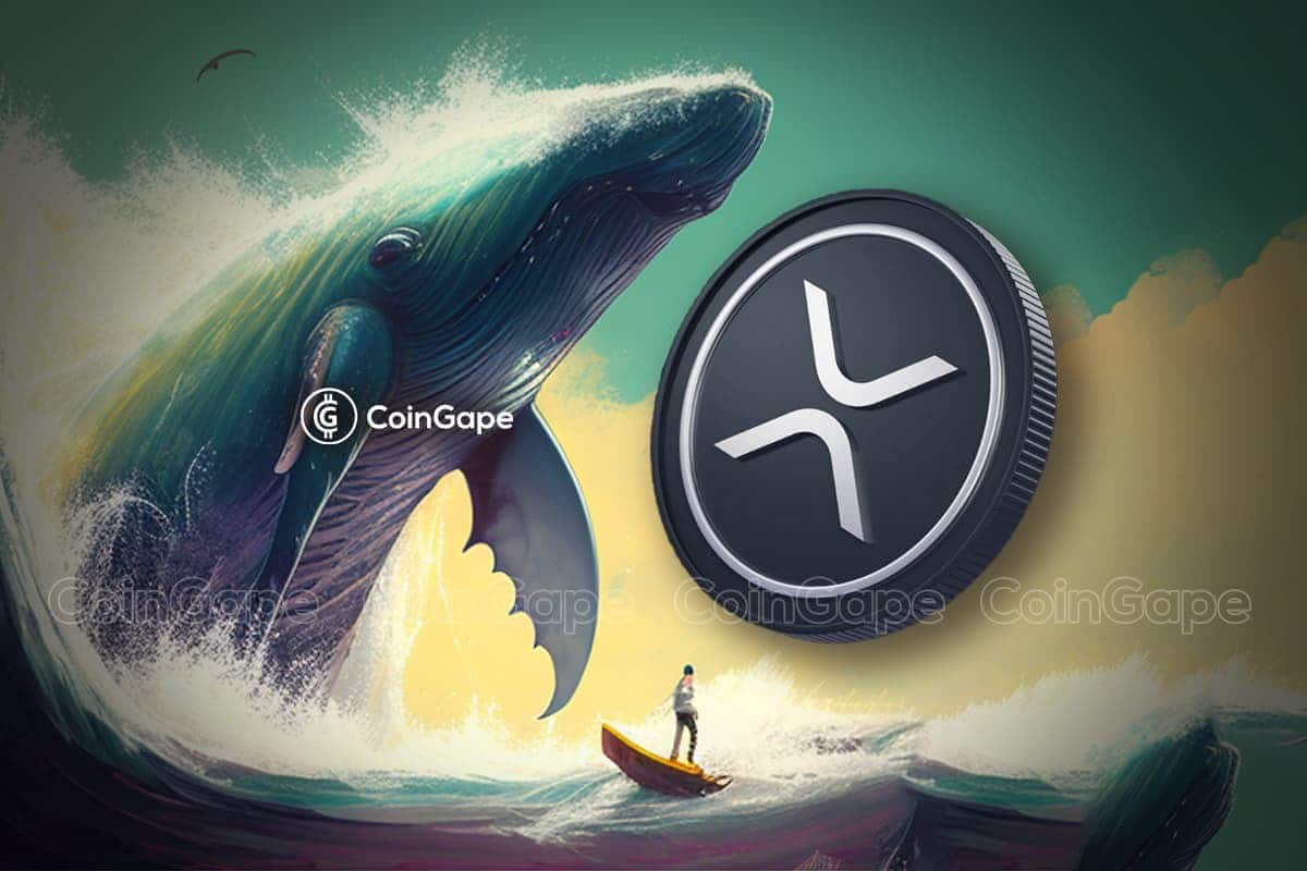 Xrp Whales.jpg