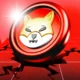 Bic Shiba 1 Covers Bearish.png.webp.webp