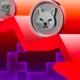 Bic Meme Coins Pepe Shiba Covers Coins Bearish.jpg.webp.webp