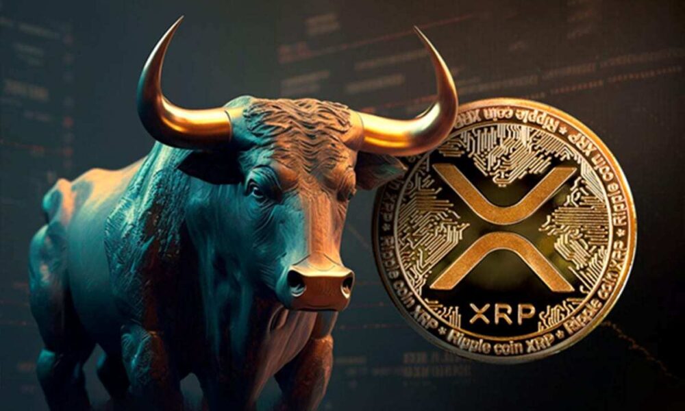 Bull Xrp2.jpg