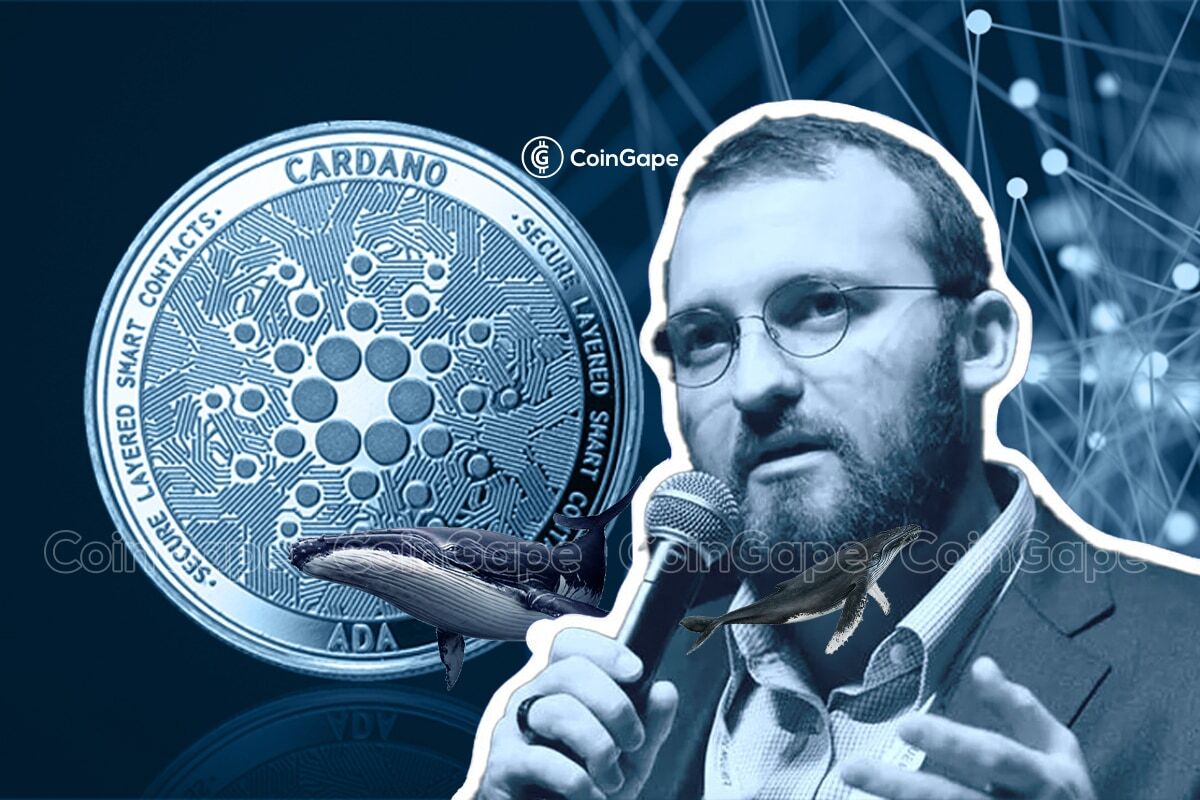 Cardano Founder.jpg