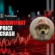 Dogwifhat Price Crash.webp.webp