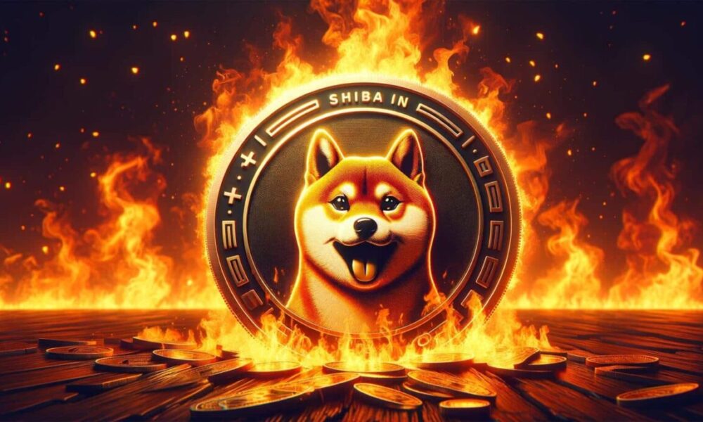 Shiba Inu Burn 2 E1715256094302.jpg