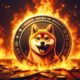 Shiba Inu Burn 2 E1715256094302.jpg