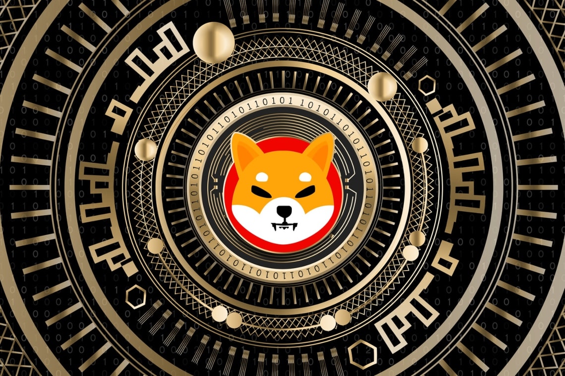 Shiba Inu Crypto Coin.jpeg