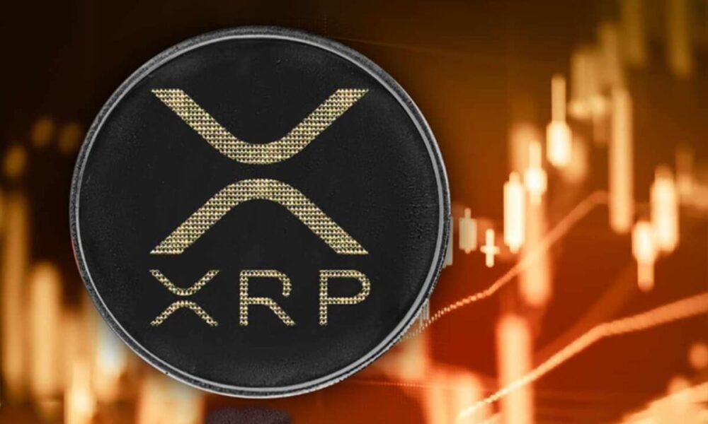 Xrp 22.jpg