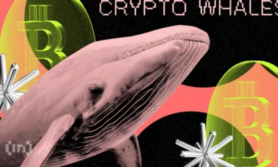 Bic Cryptowhales Bitcoin.png.webp.webp