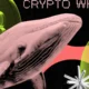 Bic Cryptowhales Bitcoin.png.webp.webp