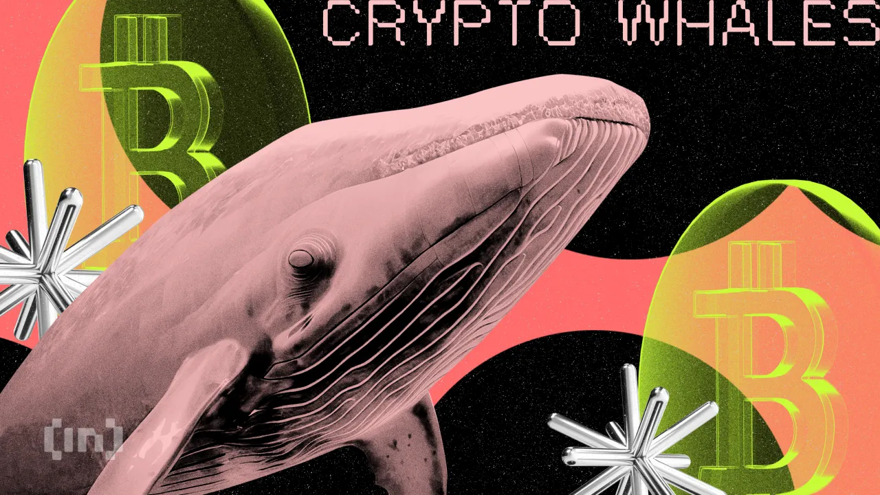 Bic Cryptowhales Bitcoin.png.webp.webp