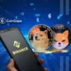 Binance Delistingamid Shiba Inu And Dogecoin.webp.webp