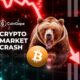 Crypto Market Crash2 1.jpg