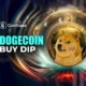 Dogecoin Buy Dip.webp.webp