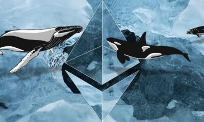 Ethereum Whales From Linkedin.jpg