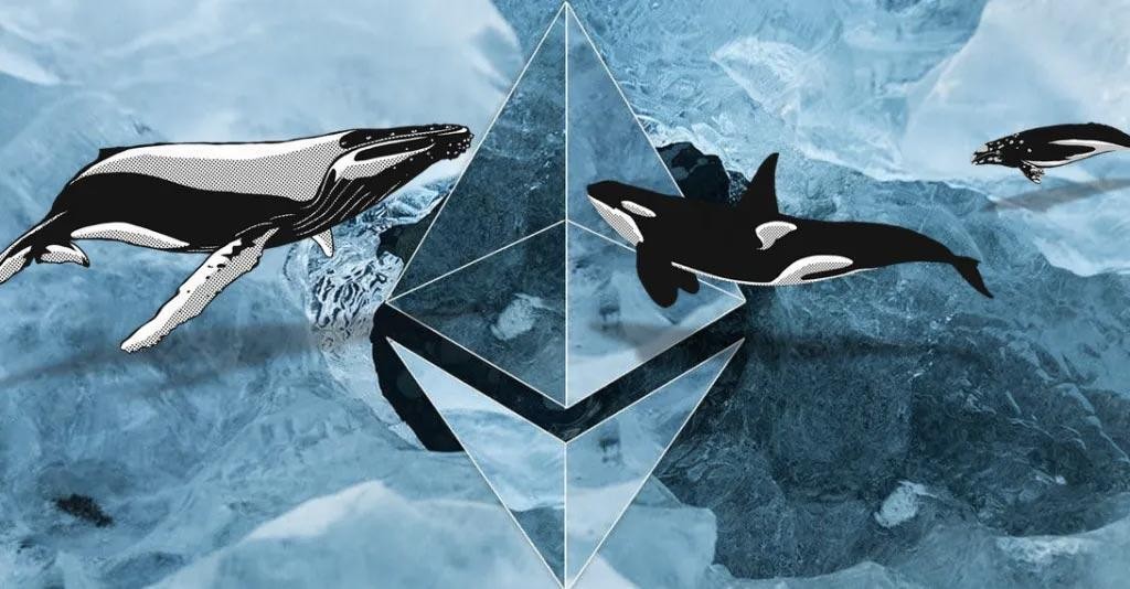 Ethereum Whales From Linkedin.jpg