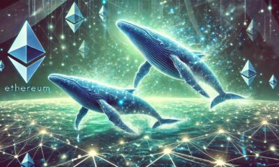 Ethereum Whales 1.jpeg