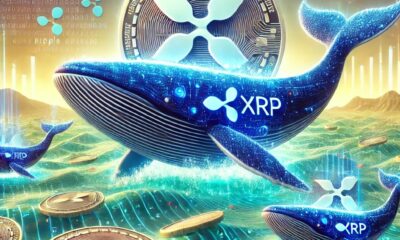 Xrp Whales.jpeg