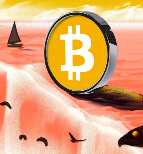 Bic Bitcoin Sv Bsv 4 Covers Neutral.jpg.optimal.jpg