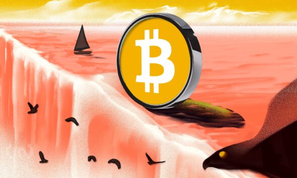 Bic Bitcoin Sv Bsv 4 Covers Neutral.jpg.optimal.jpg