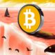 Bic Bitcoin Sv Bsv 4 Covers Neutral.jpg.optimal.jpg