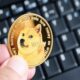 Dogecoin Doge.jpg