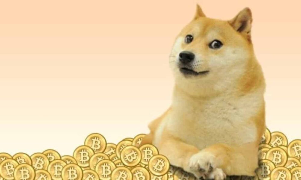 Dogecoin Doge Price On Leap As.jpg