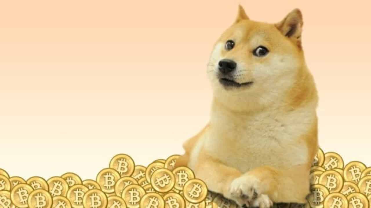 Dogecoin Doge Price On Leap As.jpg