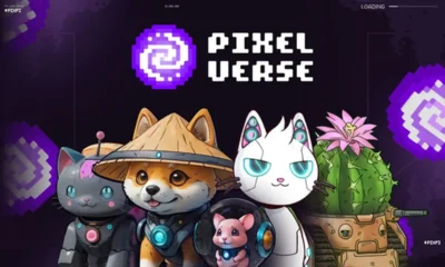 Pixelverse.webp.webp