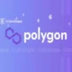 Polygon.webp.webp