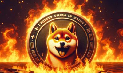 Shiba Inu Burn E1704371211799.jpg