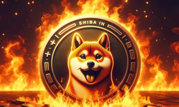 Shiba Inu Burn E1704371211799.jpg