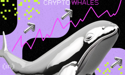 Bic Cryptowhales Bulish Up .png