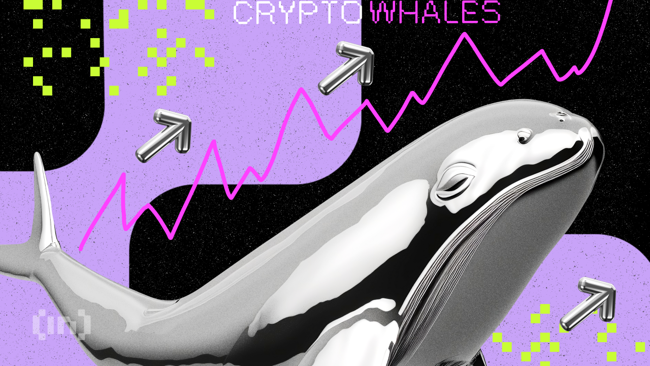 Bic Cryptowhales Bulish Up .png