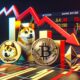 Dogecoin Dives.jpg