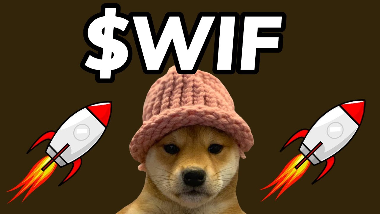 Dogwifhat From Youtube.jpg