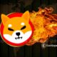 Everything You Need To Know About Shiba Inu Burn Portal.jpg