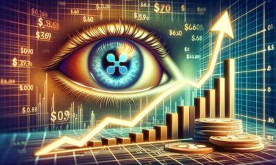 Xrp Reclaim 0.60.jpg