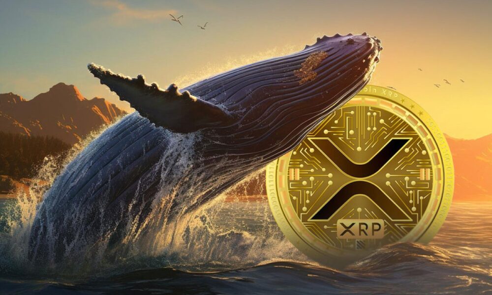 Xrp Whale.jpeg