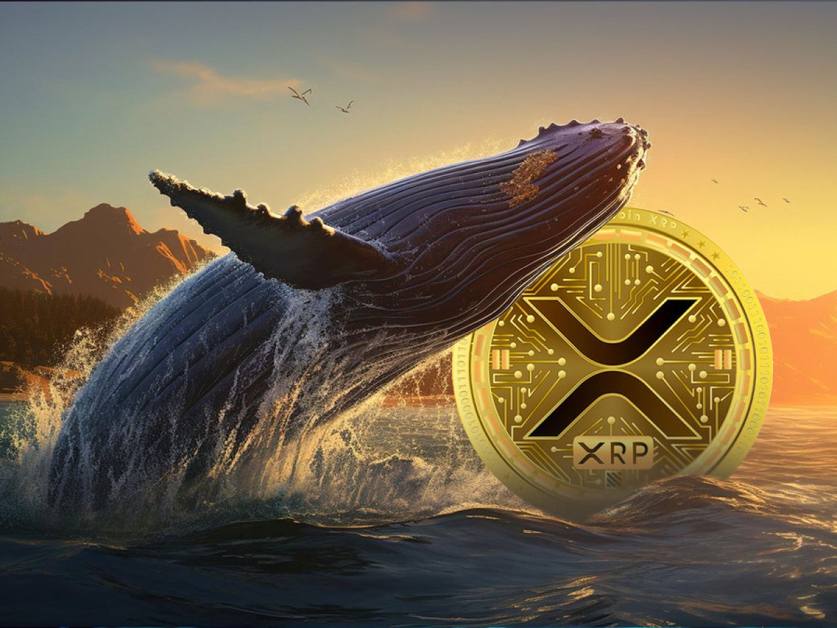 Xrp Whale.jpeg