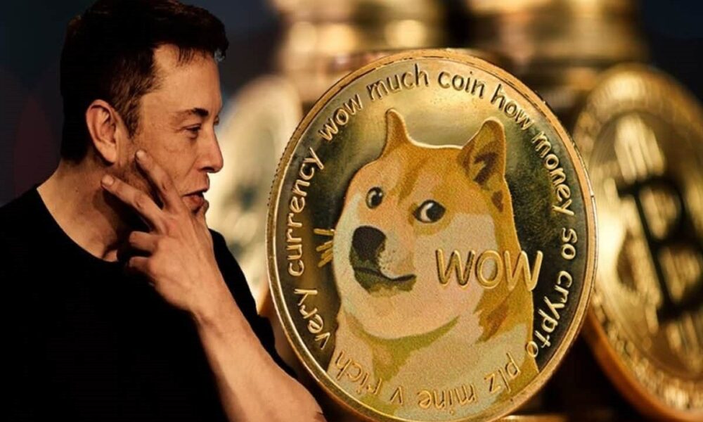 Dogecoin Elon Musk.jpg