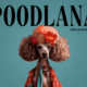 Poodlana Meme Coin Logo.png