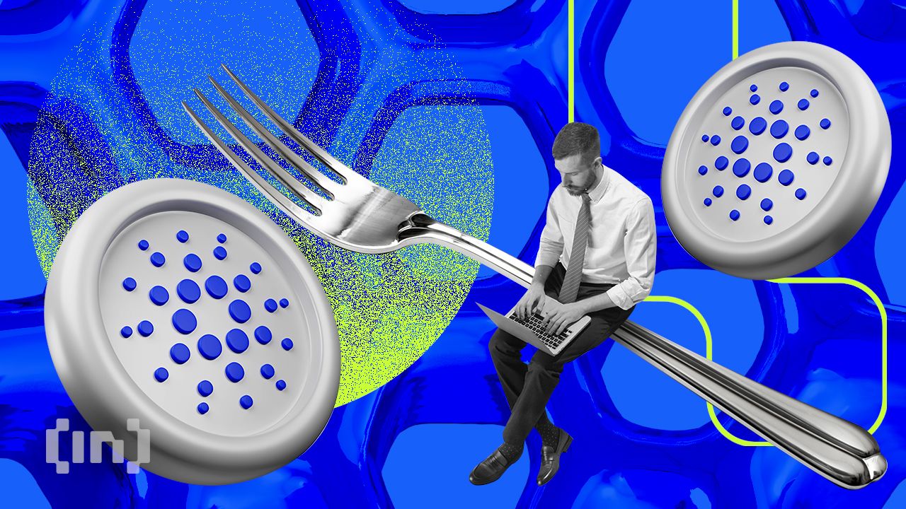 Bic Cardano Fork Vasil 2.jpg.optimal.jpg