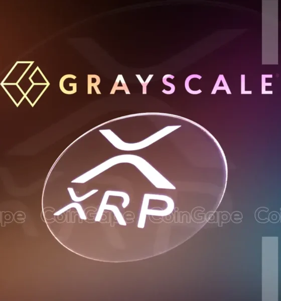 Buying Xrp Discover If Grayscale Xrp Trust Is A Better Choice.webp.webp